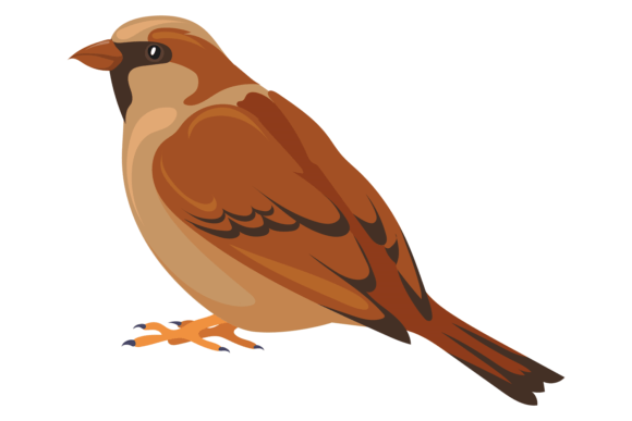 Sparrow Color Icon: A Wildlife Animal for Modern Design